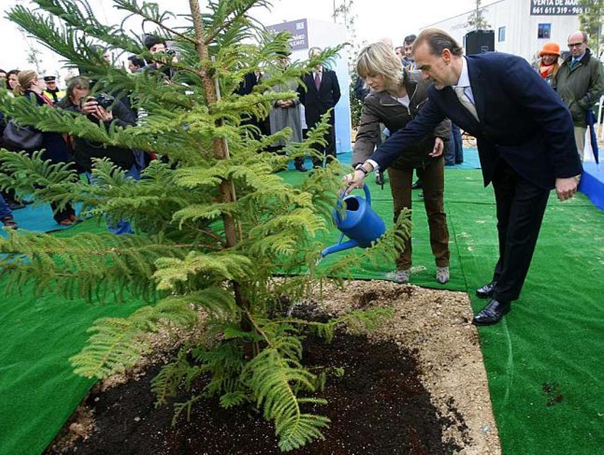 Primer árbol del "bosque mediterráneo"