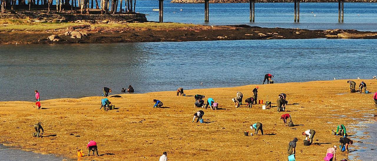 Mariscadoras de Vilanova trabajando en la ensenada de O Esteiro.   | // IÑAKI ABELLA