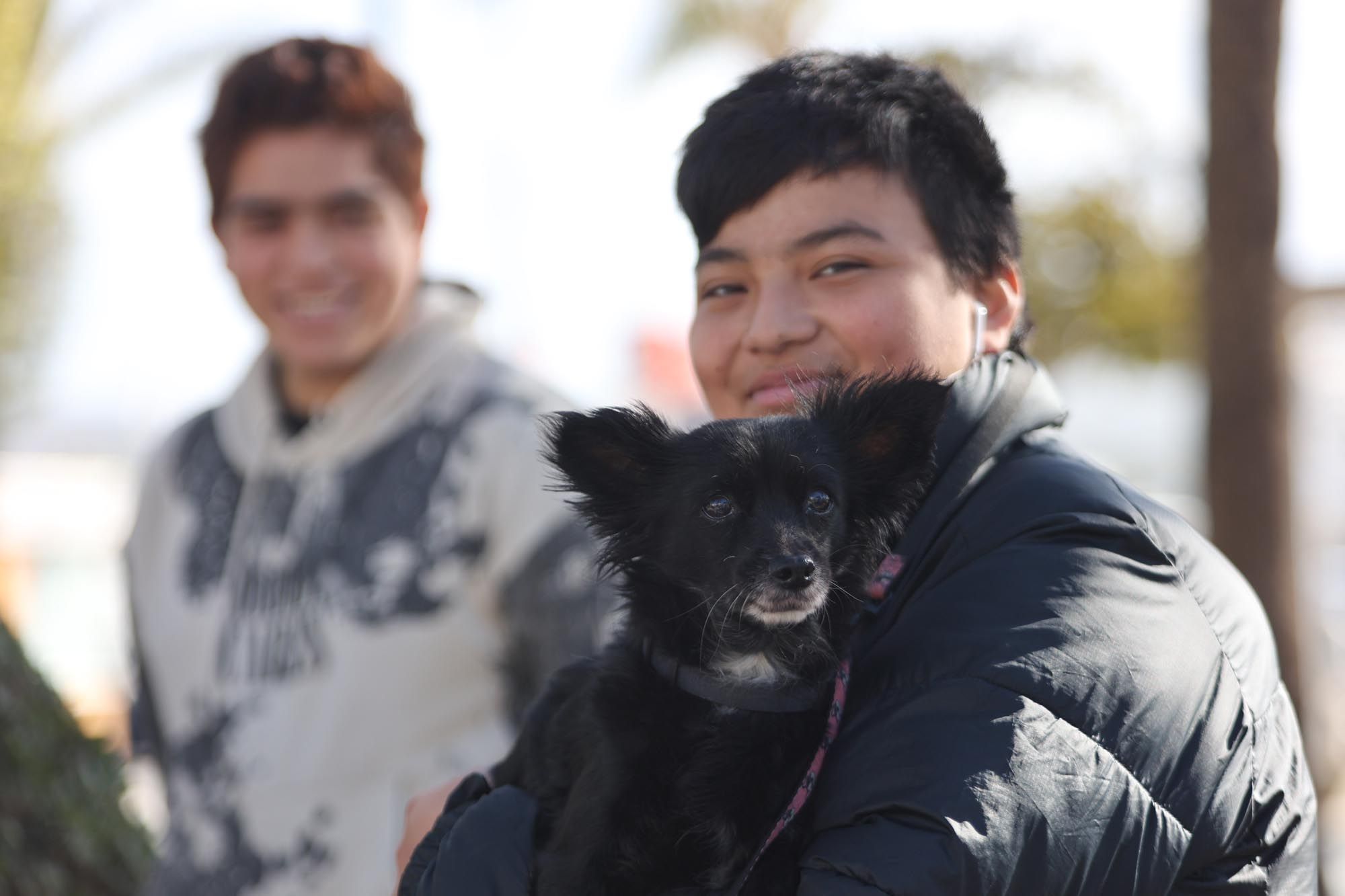 Todas las imágenes de la bendición de animales y el día grande de las fiestas de Sant Antoni