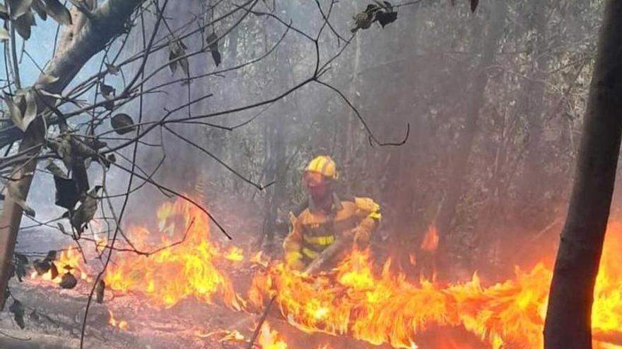 Tareas de extinción del incendio de Tenerife