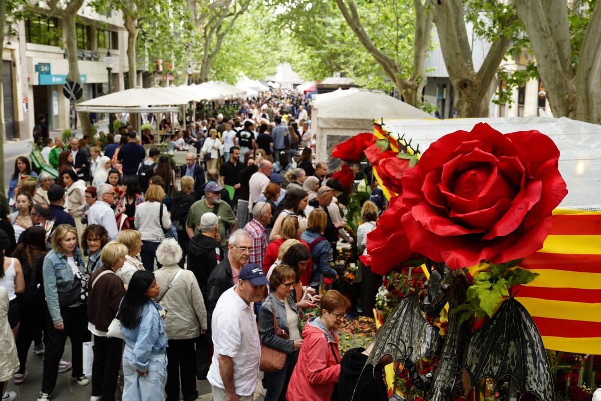Les millor imatges de la Diada de Sant Jordi 2026 a Manresa