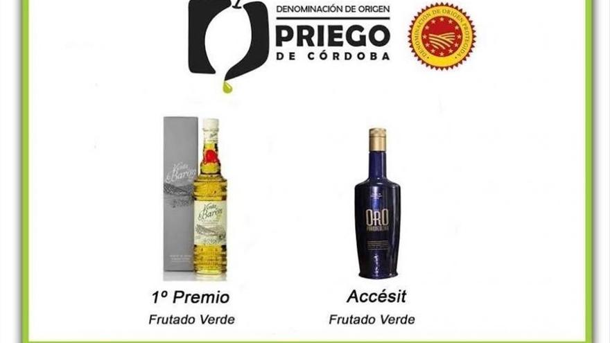 Aceites de la DOP Priego de Córdoba, galardonados por su calidad por la Diputación