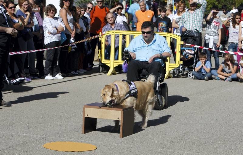 Fotogalería: Fiesta por la integración de la Fundación DFA