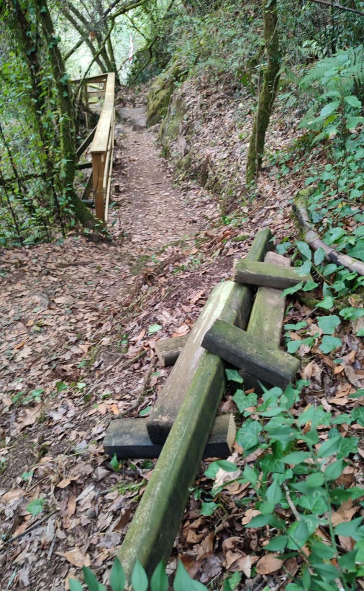 Maderas depositadas junto al camino.