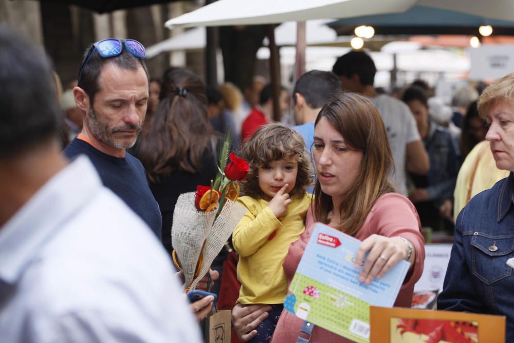 Sant Jordi a Girona