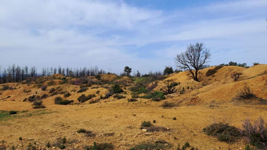 Terreno en el que se estudia la instalación de la planta de biometano, en Junquera de Tera. | E. P.