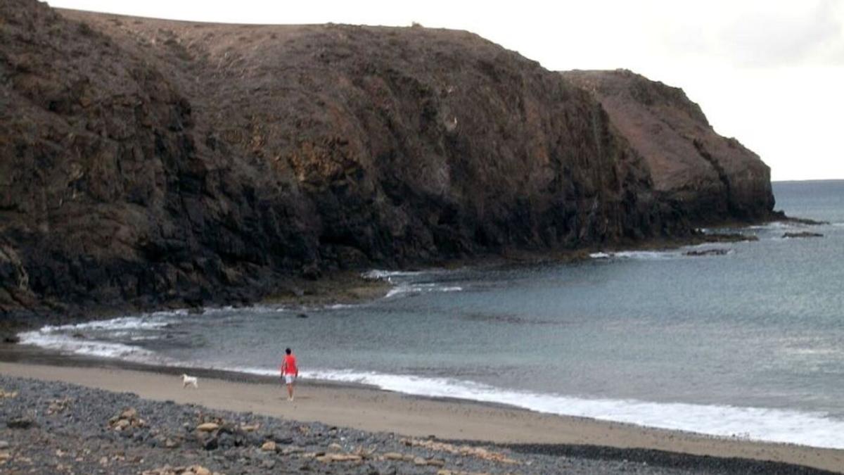 Playa de Las Coloradas (Playa Blanca, municipio de Yaiza), habilitada para perros en dos tramos horarios del día.