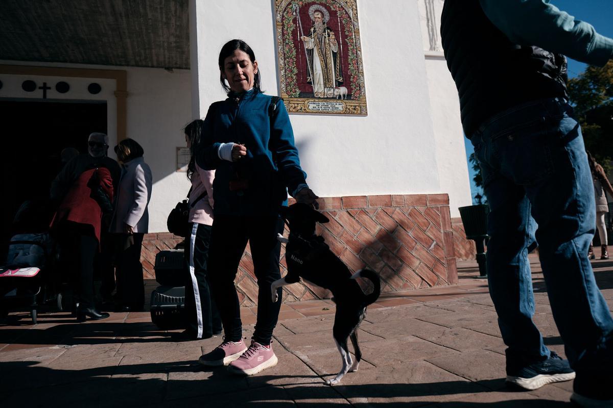 Churriana celebra la bendición de San Antón Churriana celebra la bendición de San Antón