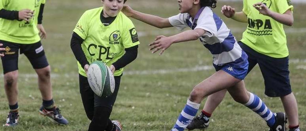 Real Oviedo sub-12.