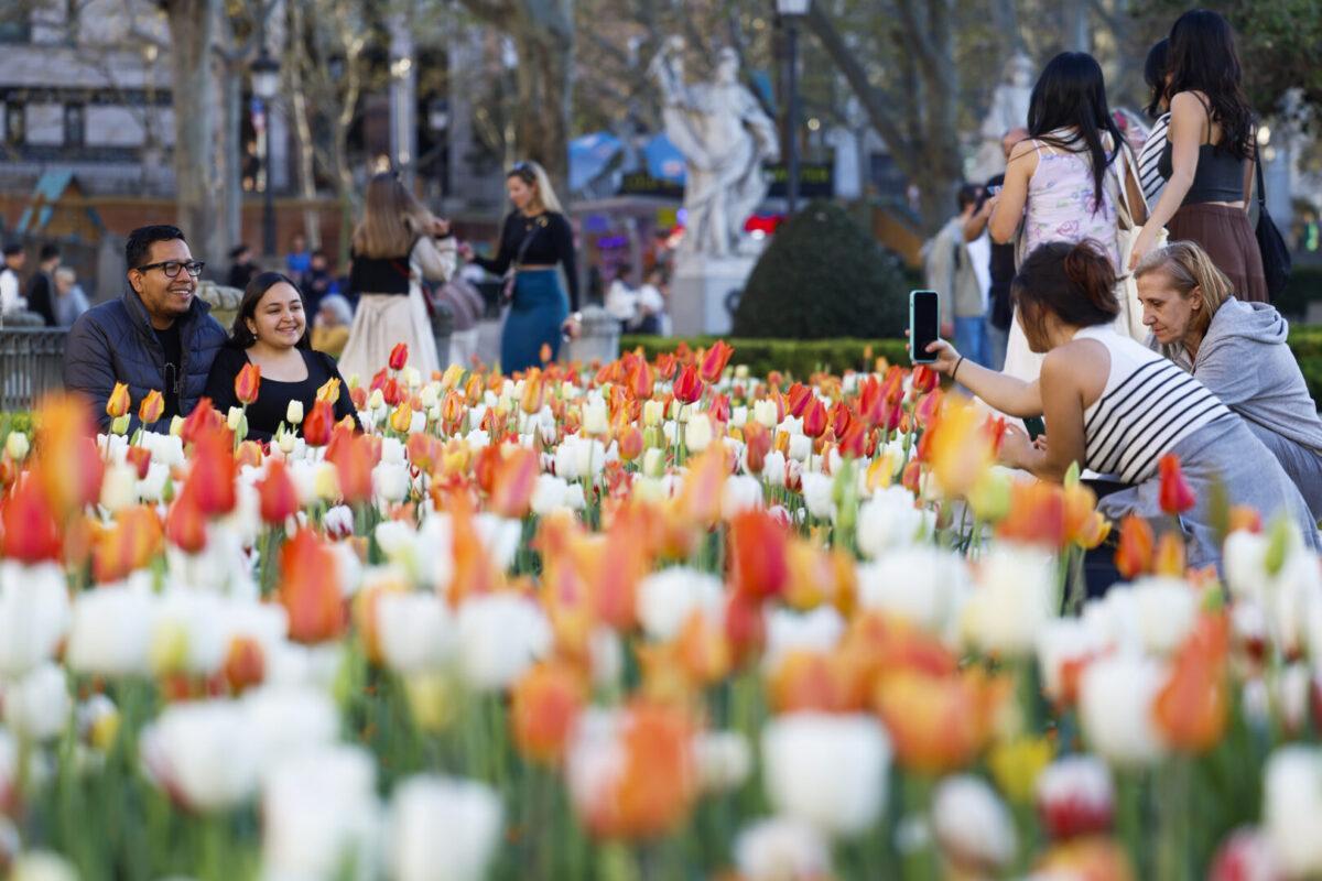 El color y las diferentes variedades de flores teñirán el Real Jardín Botánico