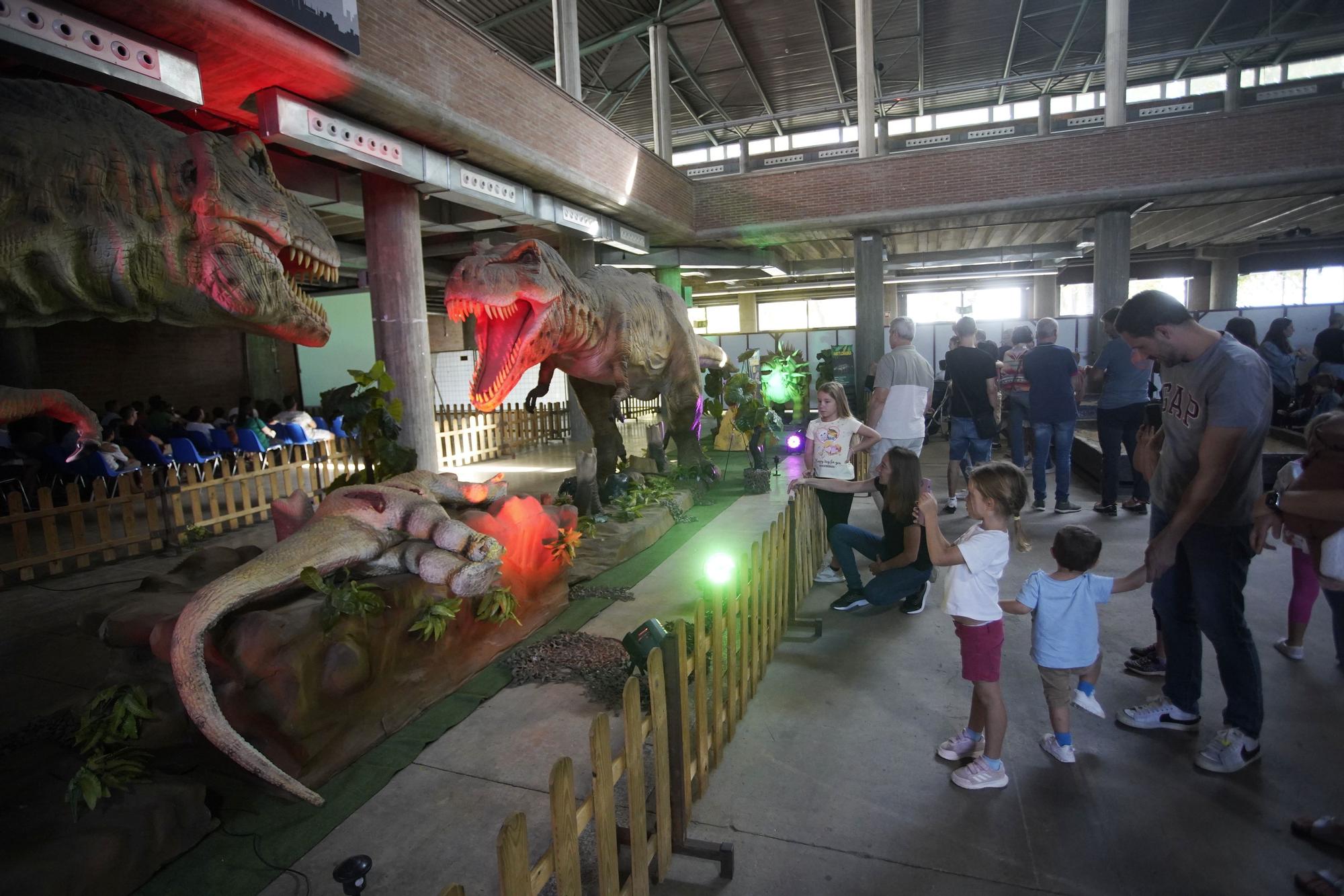 Dinosaures a mida real al Palau de Fires