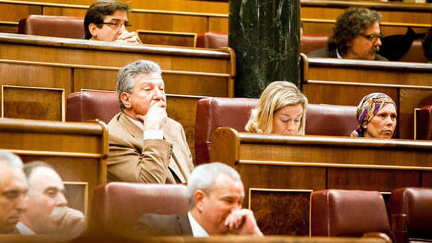 Pedro Quevedo y Ana Oramas en sus escaños del Congreso de los Diputados. | lp/dlp