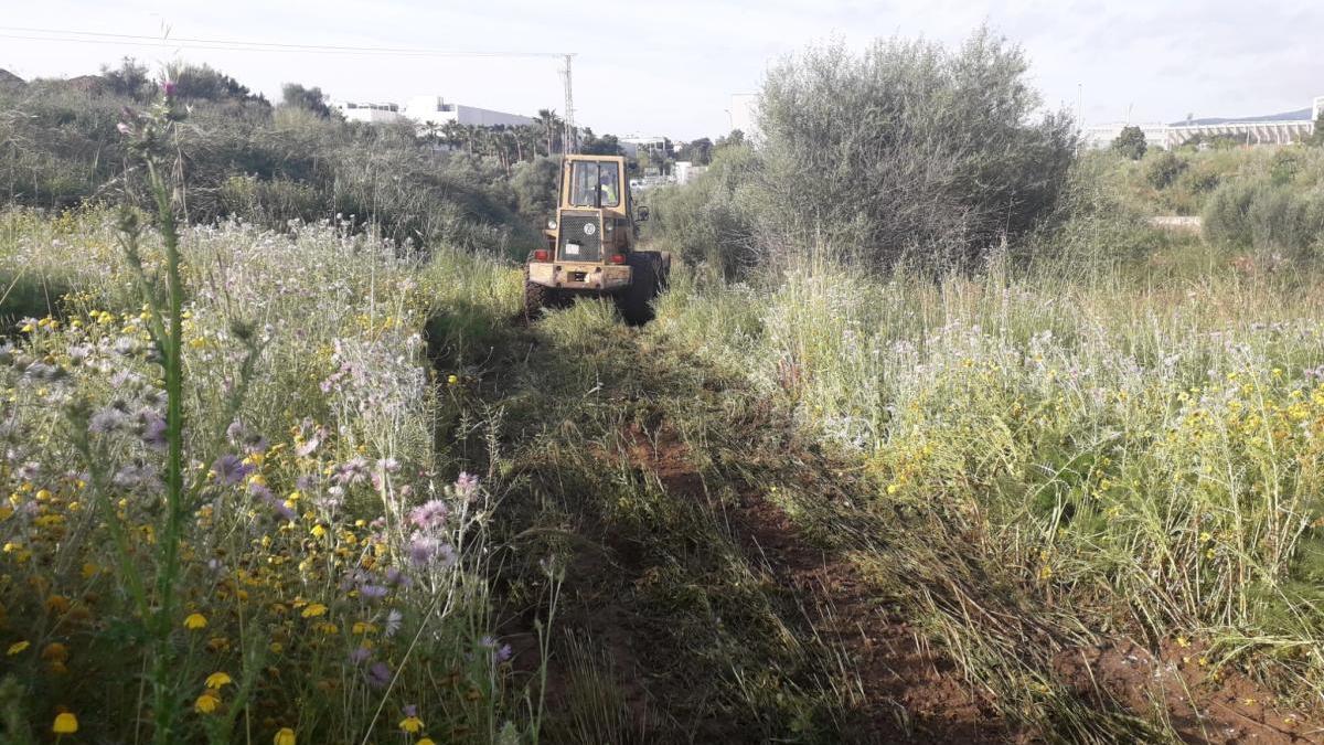 Tareas de limpieza con máquinas en el torrente de na Bàrbara.