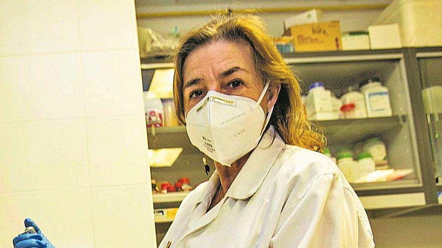 La microbióloga Francisca Colom, en el laboratorio. // FdV