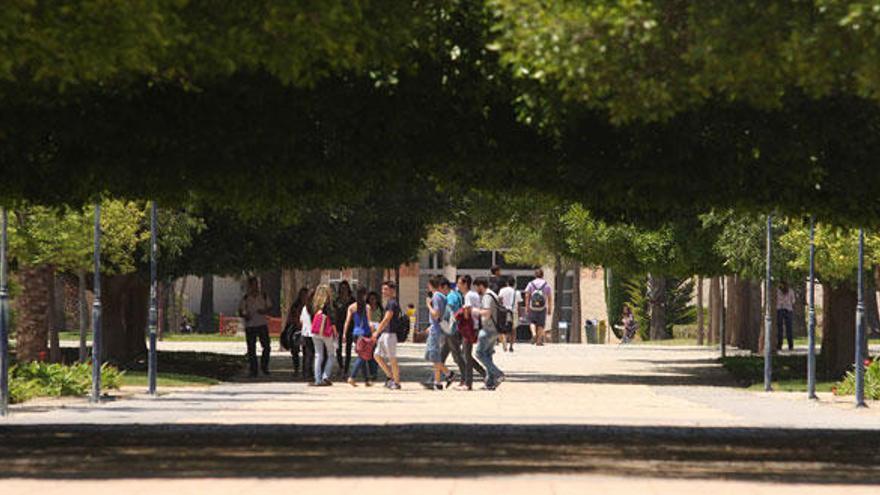 La UA rechaza el proyecto de la universidad privada en El Campello