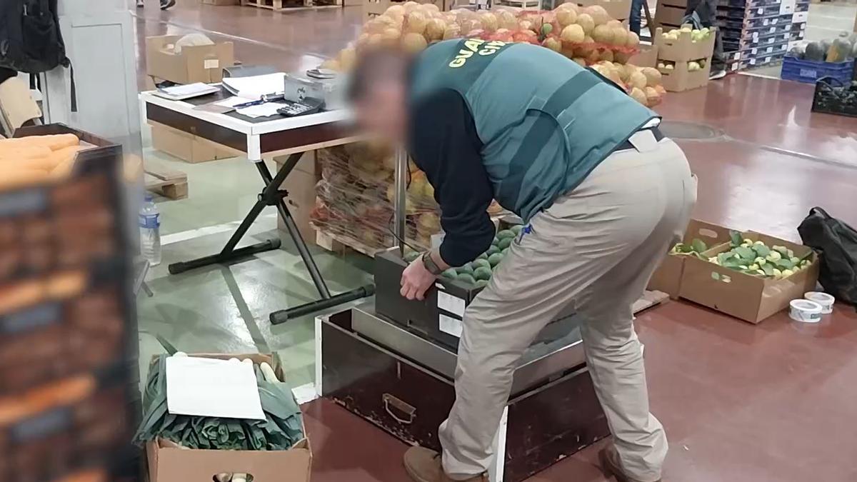Intervenidas casi diez toneladas de frutas y verduras comercializadas ilegalmente en Tenerife