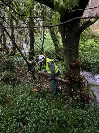 A Xunta realiza labores de conservación en 11,5 quilómetros de dez ríos en Porto do Son