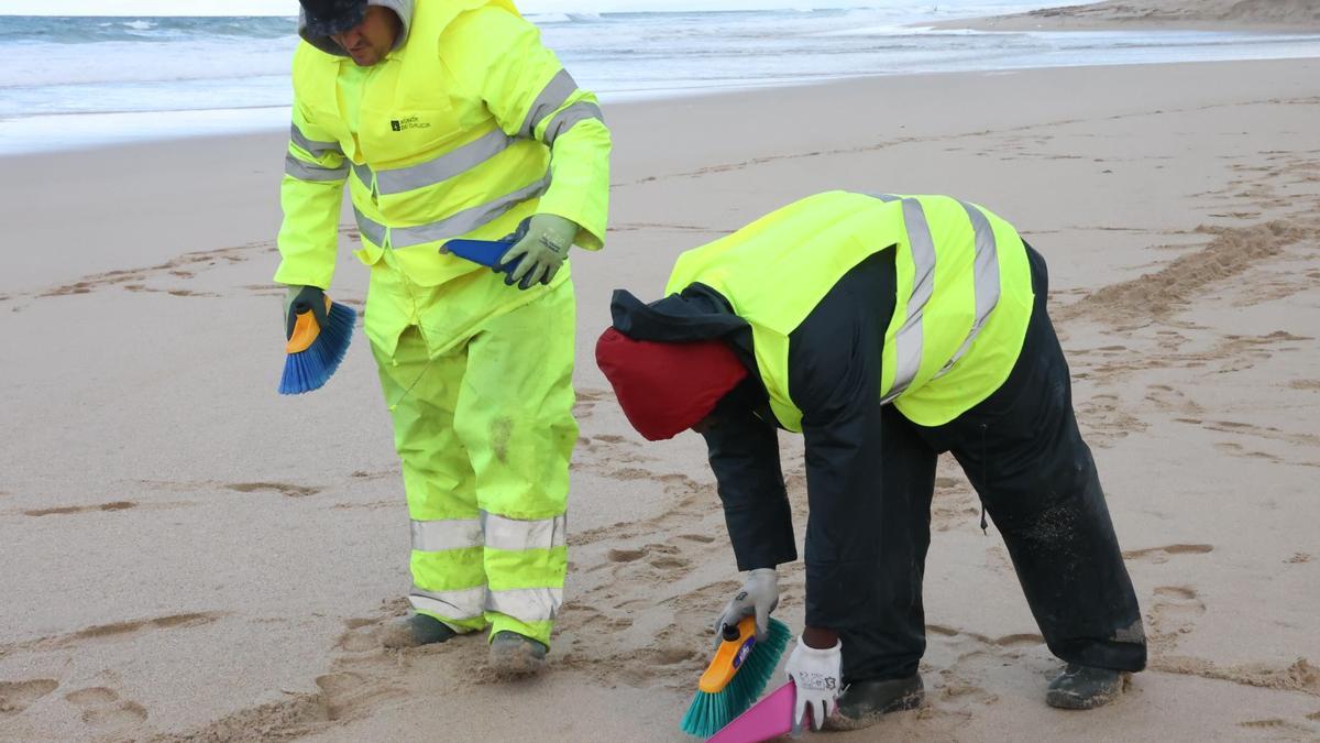 Jornadas de formación de limpieza de pélets para voluntarios en la playa de Razo, en Baldaio