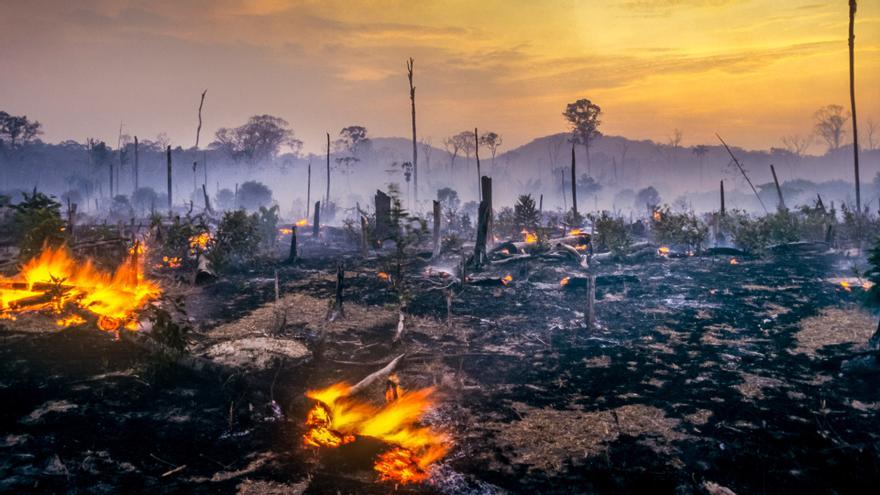 La mitad de la selva amazónica ya está destruida o degradada