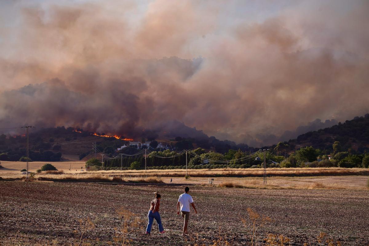 Incendio forestal junto al Castillo de la Albaida Incendio forestal junto al Castillo de la Albaida