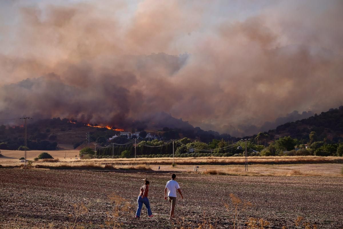 Incendio forestal junto al Castillo de la Albaida