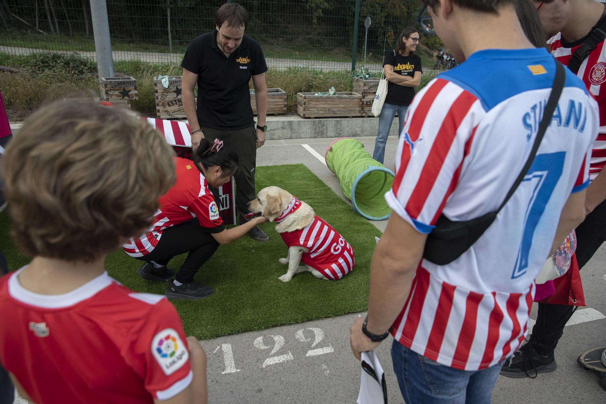 Entrenament obert del Girona FC a Montilivi per les Fires de Girona