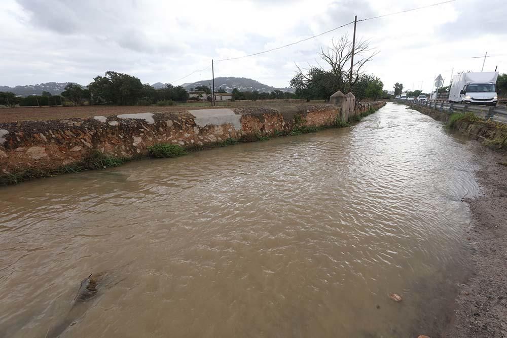 Rotonda de Pacha y Suministros Ibiza y torrente a su paso por Puig d'en Valls.