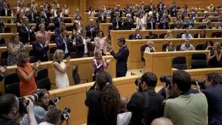 Récord de gasto del Senado en viajes de sus señorías: ronda el millón de euros en solo tres meses