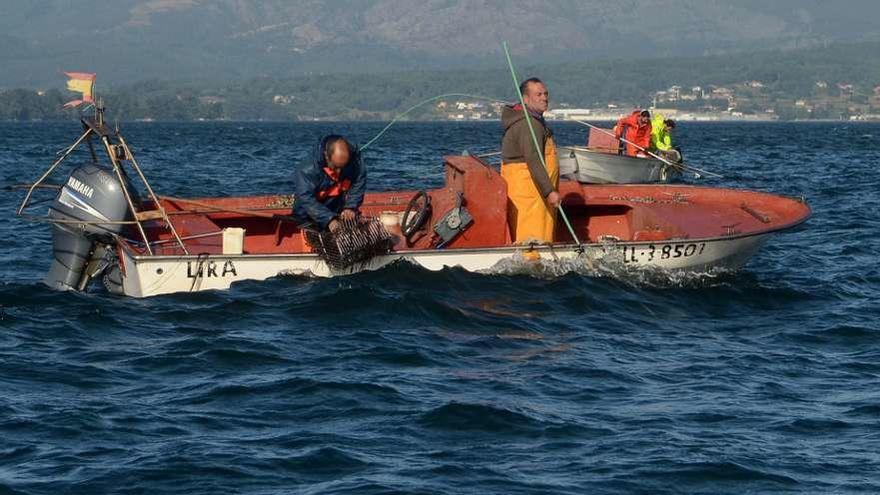 &quot;Rañeiros&quot; en la zona de libre marisqueo de Os Lombos do Ulla. // Muñiz