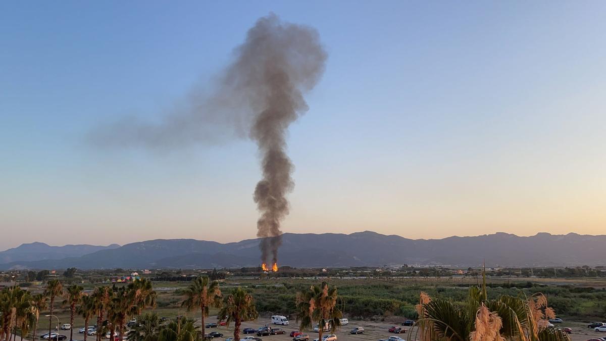 Un incendio en un palmeral de Cullera deja una gran columna de humo vista desde las poblaciones colindantes