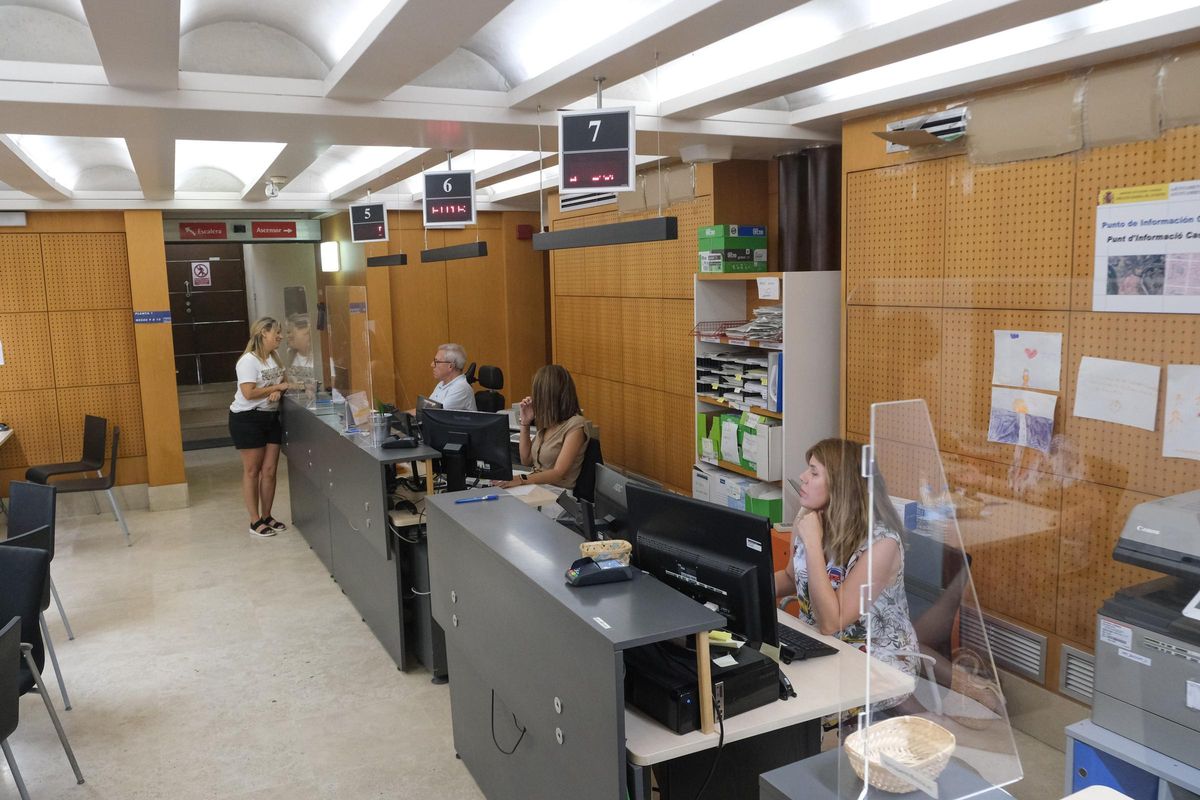 Funcionarios del Ayuntamiento de Elche, en la OMAC