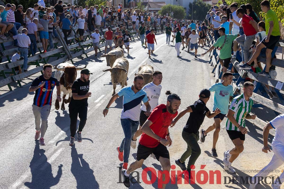 Quinto encierro de la Feria del Arroz de Calasparra