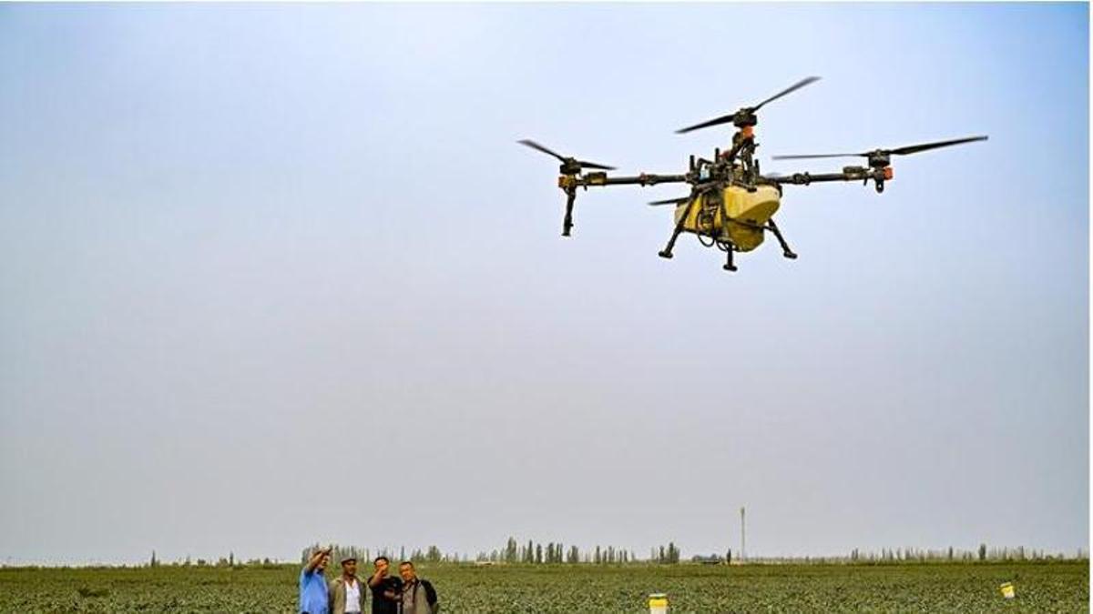 La región autónoma china de Xinjiang apuesta por la agricultura inteligente en el marco del impulso digital nacional