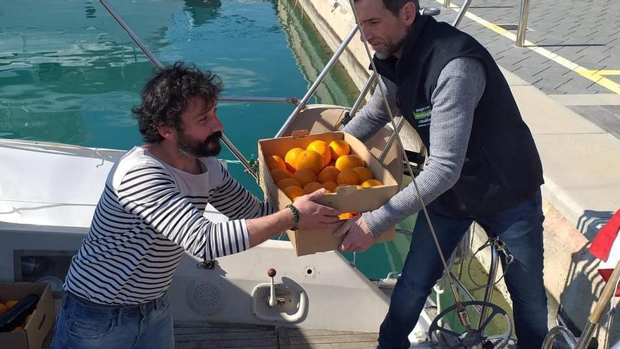 Ökologischer Transport: Ein Segelboot exportiert jetzt Orangen von Mallorca nach Frankreich
