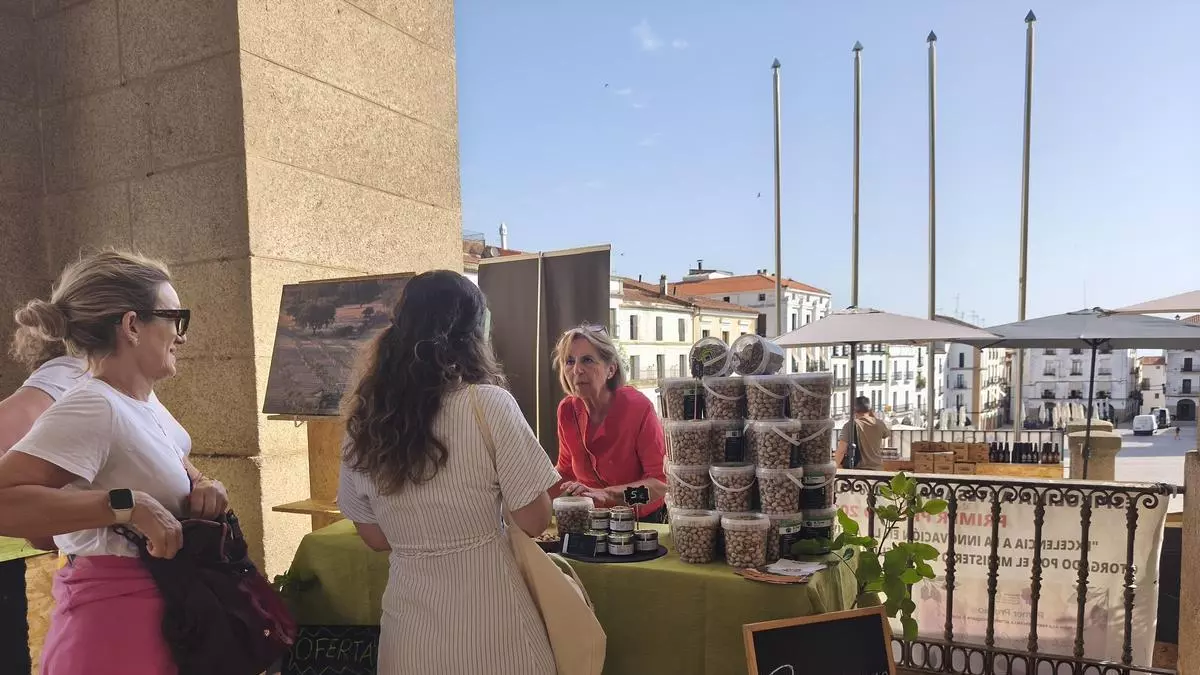 El biomercado regresa a su calendario habitual y vuelve a conquistar la Plaza Mayor de Cáceres