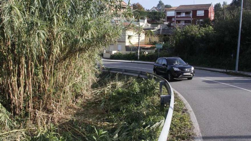 Punto de la PO-315 en donde se procedió a la limpieza del cañaveral. // Santos Álvarez