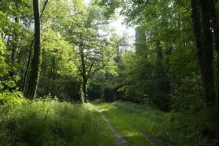 Un estudio clave sobre el futuro jardín botánico de Oviedo lo decidirá: ¿adiós a los vestigios de un curioso patrimonio fabril?