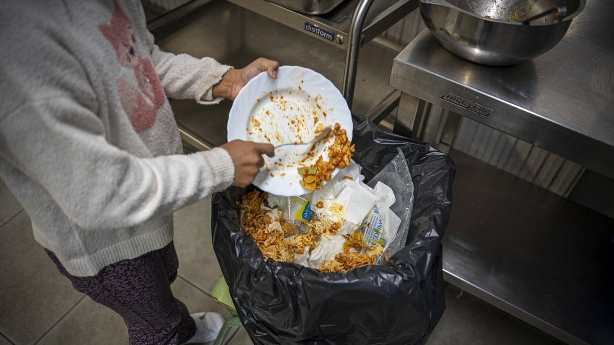 ALIMENTACIÓN | CONSUMO | La ley española contra el desperdicio alimentario cumple seis meses y apunta ya los primeros brotes verdes