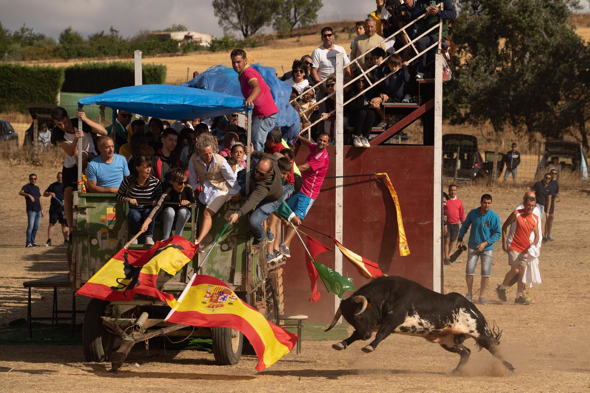 GALERÍA | Encierro mixto en Fuentelapeña