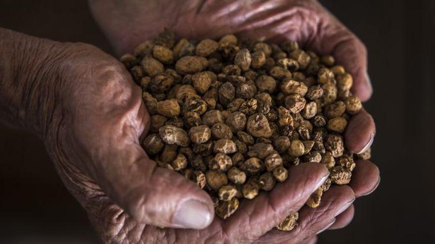 El último invento para los amantes de la horchata: Una &#039;nocilla&#039; de chufa