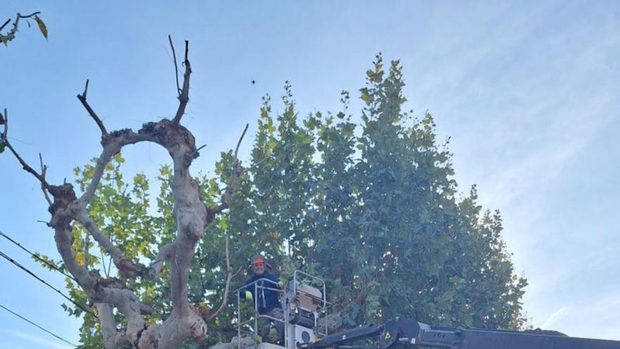 El dispositivo se utiliza para jardinería y conservación.  | SERVICIO ESPECIAL