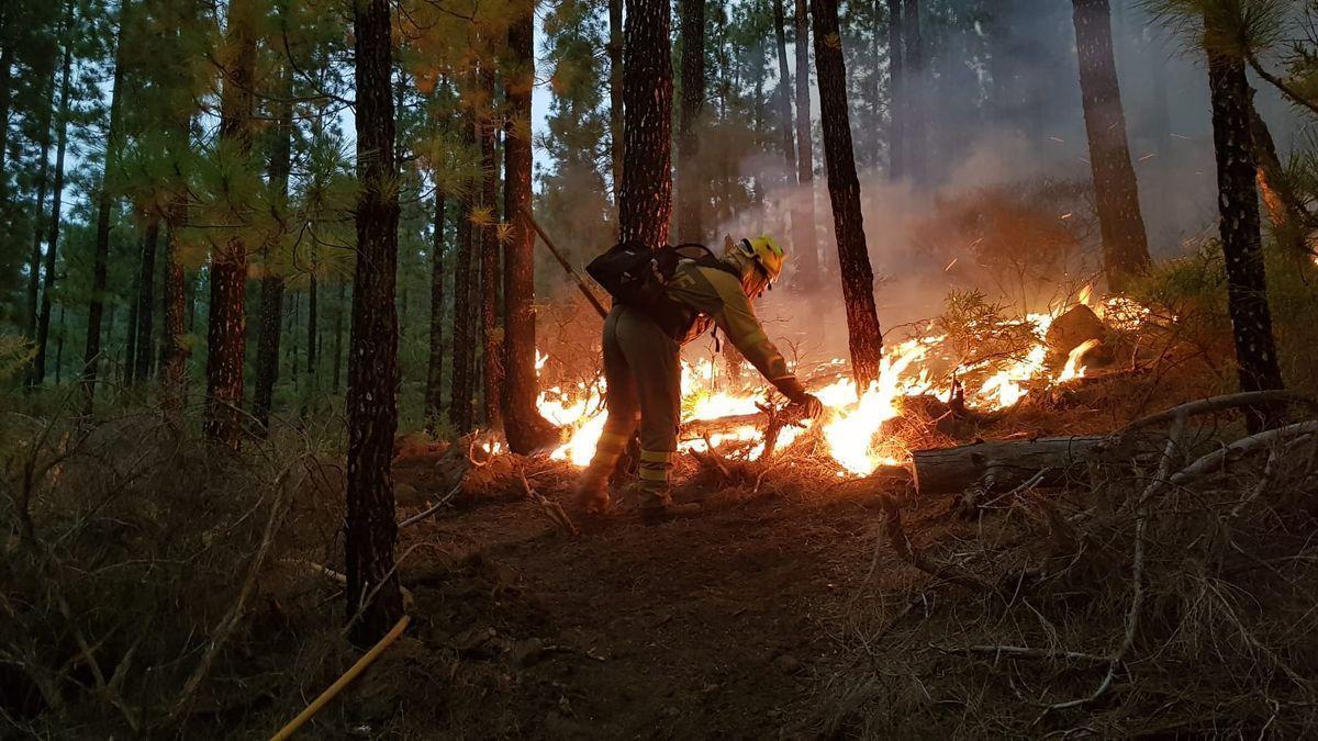 El incendio de Tenerife se adentra en el valle de La Orotava y obliga a desalojar a cientos de personas