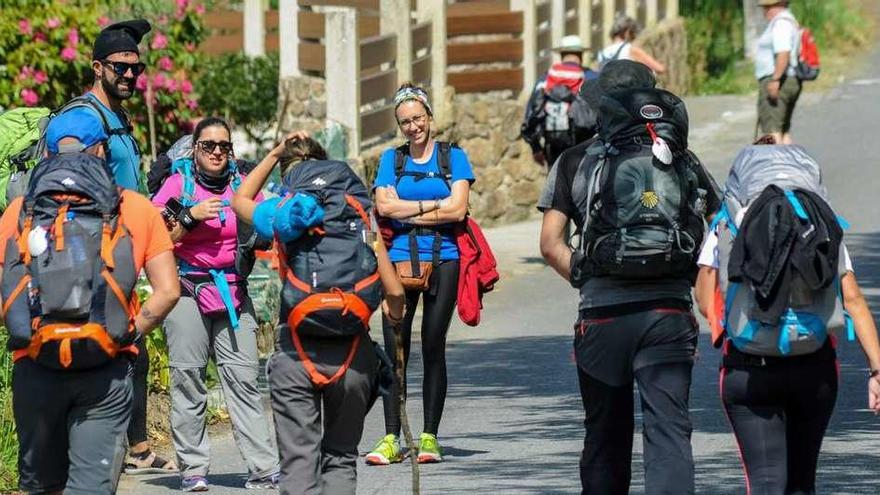 Un grupo de peregrinos durante una etapa del Camino de Santiago.