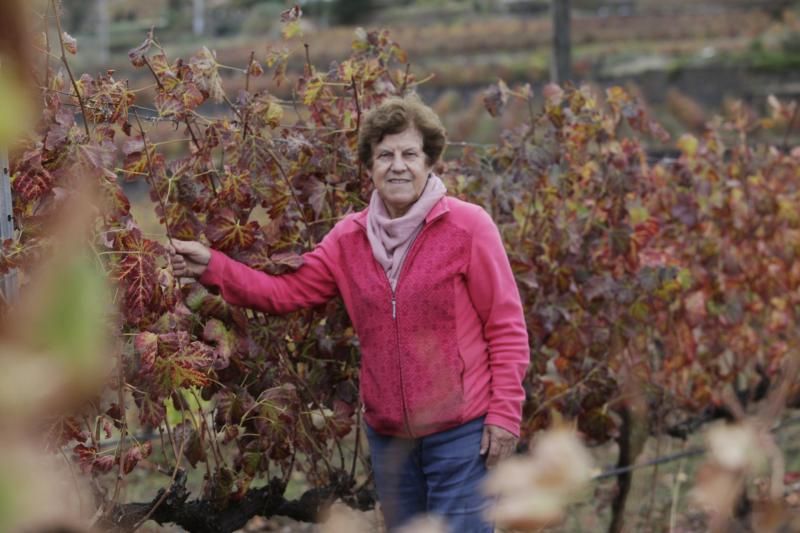 Cecilia Farráis Lorenzo, Chila, de Bodega Tajinaste