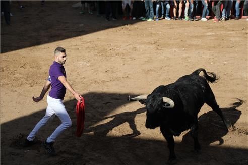 Dia del Major en Almassora