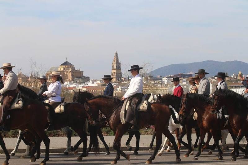 Marcha ecuestre del día de Andalucía en Córdoba