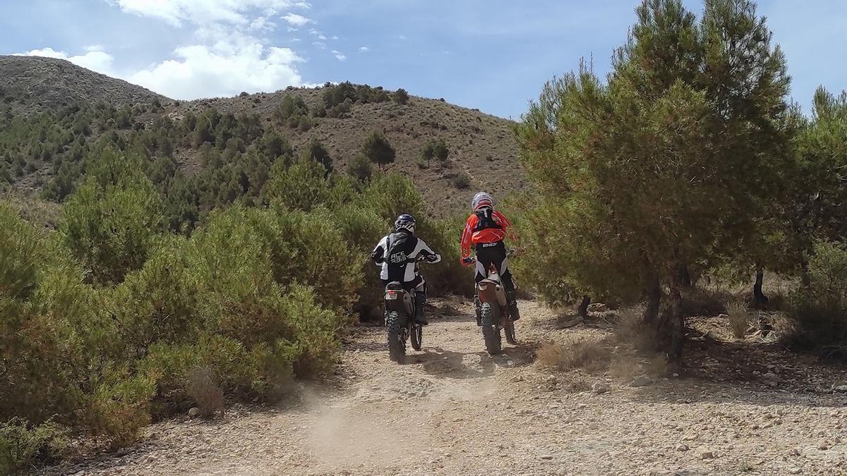 Dos motoristas circulando por un camino forestal de Novelda.