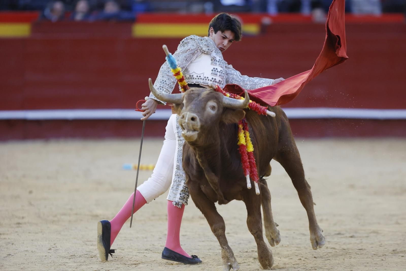 La novillada sin picadores de la Feria de Fallas, en imágenes