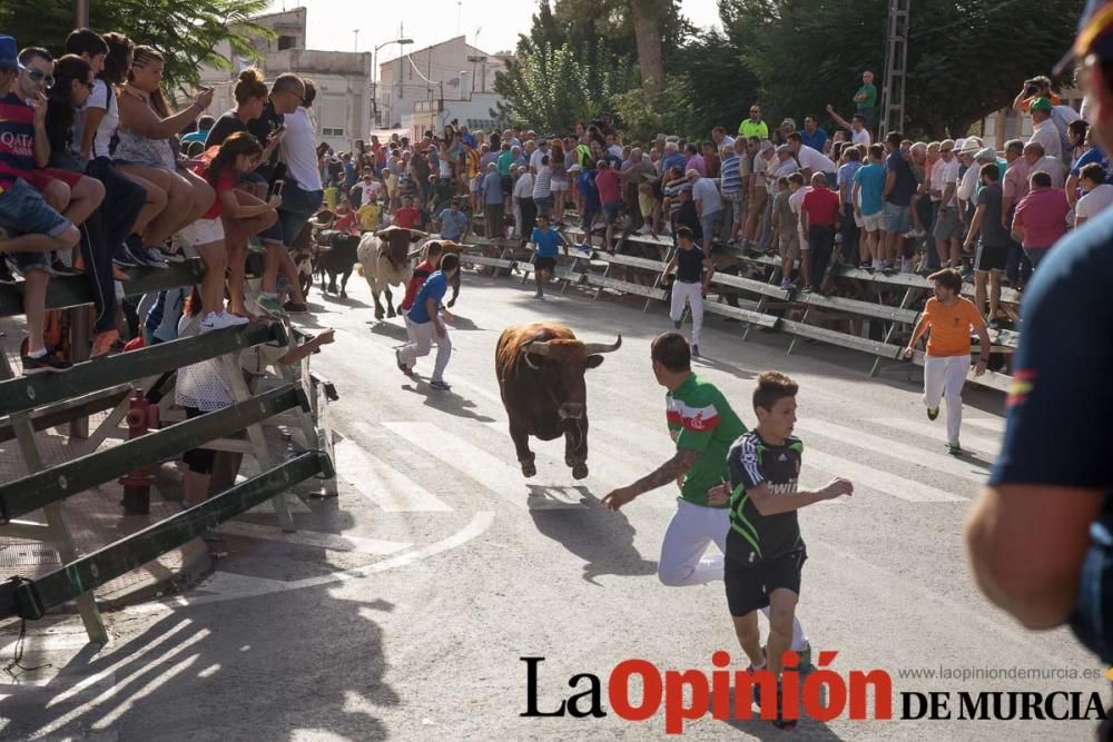 Tercer encierro en Calasparra