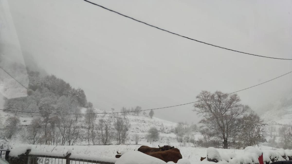 Nieva en los puertos de Asturias